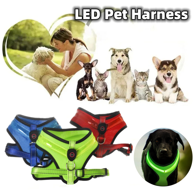 LED Dog Harness Led USB Charging