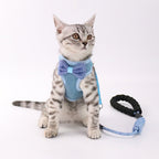 Cat chest  leash