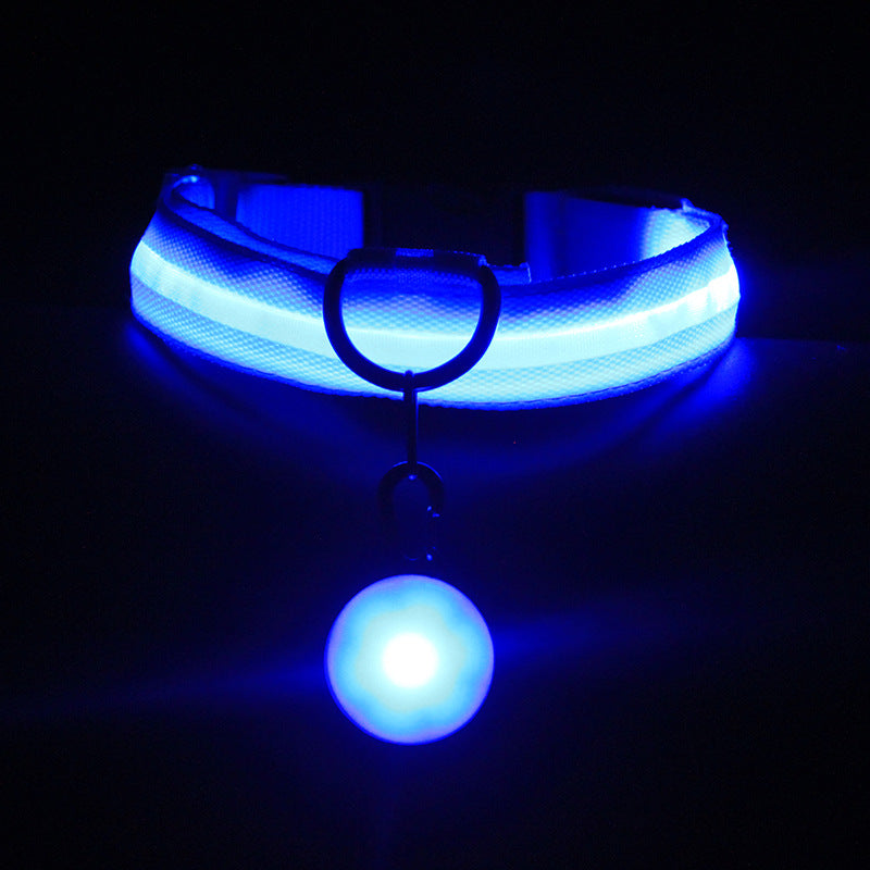 Dog Collar Luminous Fashion