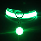 Dog Collar Luminous Fashion