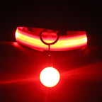 Dog Collar Luminous Fashion