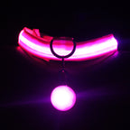 Dog Collar Luminous Fashion
