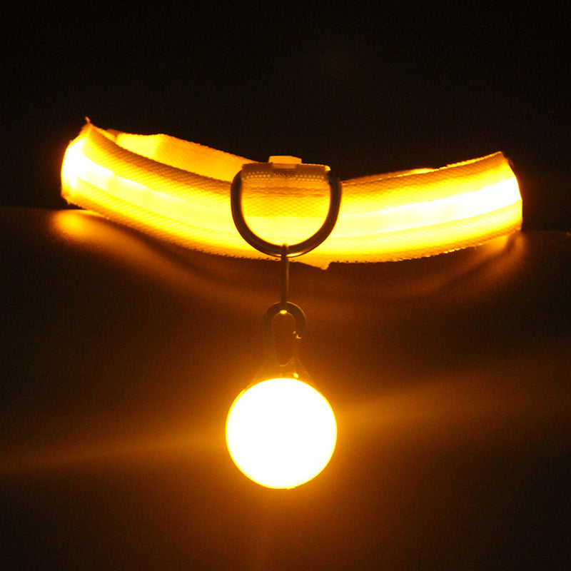 Dog Collar Luminous Fashion