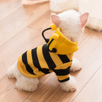 Sweater Puppy Dog