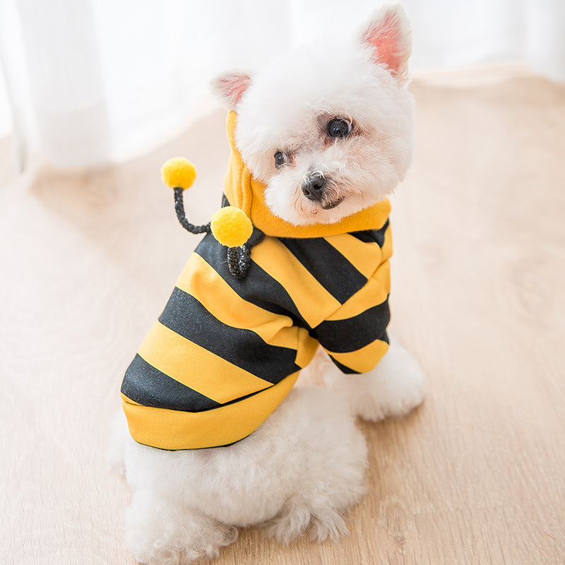Sweater Puppy Dog