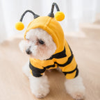 Sweater Puppy Dog