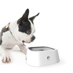 Cat & Dog Water Bowl 1.5L