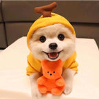 Fruit Dog Clothes For Small Dogs