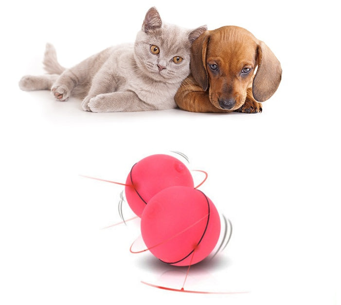 LED Laser Electronic for Cat