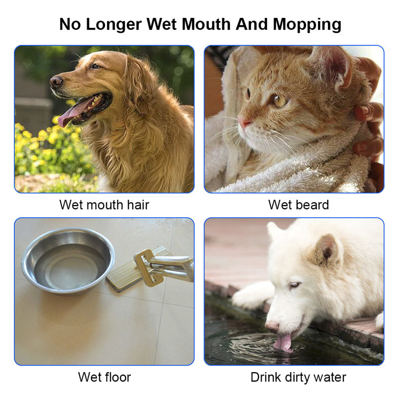 Cat & Dog Water Bowl 1.5L