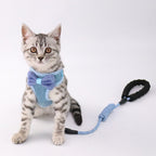 Cat chest  leash