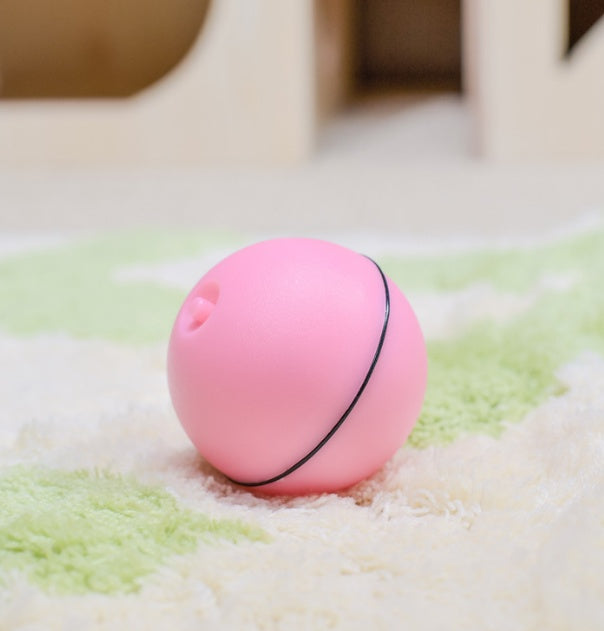 LED Laser Electronic for Cat