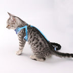 Cat chest  leash