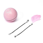 LED Laser Electronic for Cat
