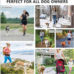 Pet Leash