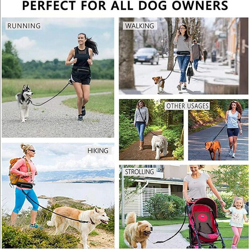 Pet Leash