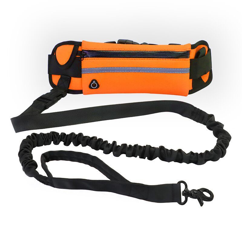 Pet Leash