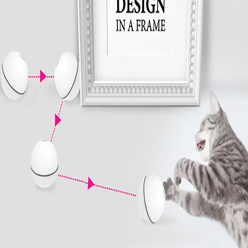 LED Laser Electronic for Cat