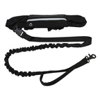Pet Leash