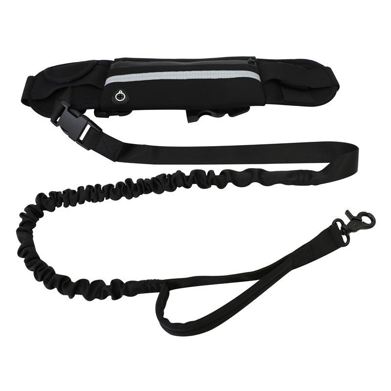 Pet Leash