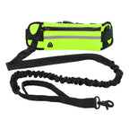 Pet Leash