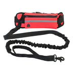 Pet Leash