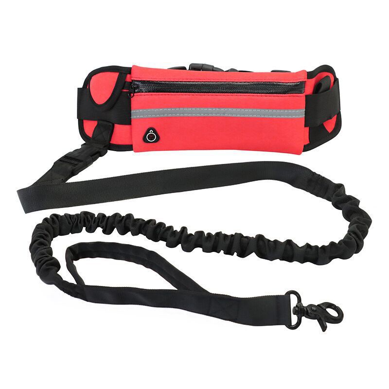 Pet Leash