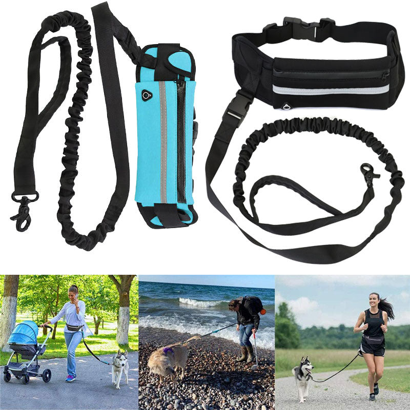 Pet Leash