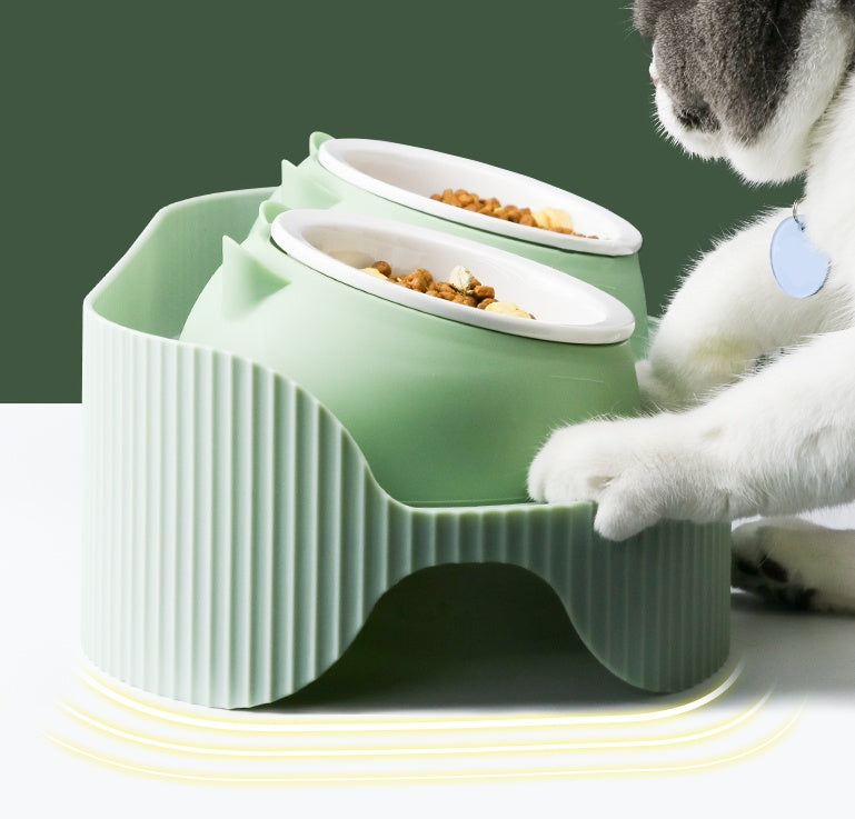 Cat Bowl Ceramic Food