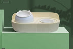 Cat Bowl Ceramic Food