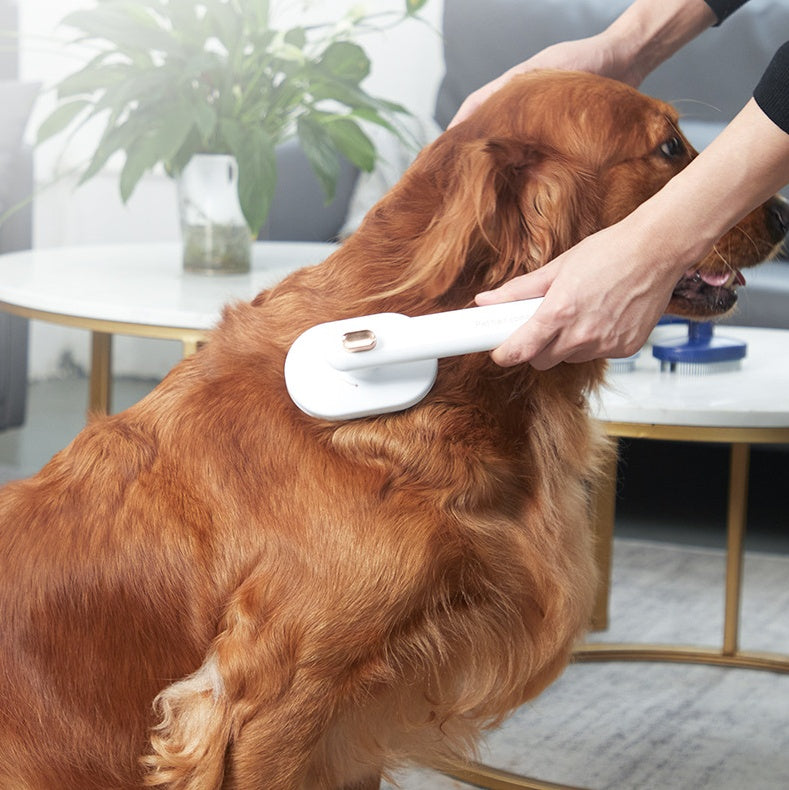 Cat Dog To Remove Floating Hair