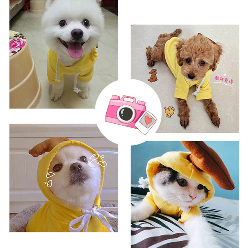 Fruit Dog Clothes For Small Dogs