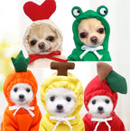 Fruit Dog Clothes For Small Dogs