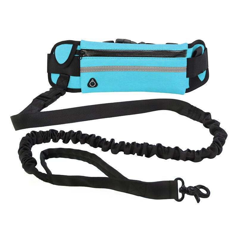 Pet Leash