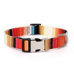 Polyester Collar Dog Rope