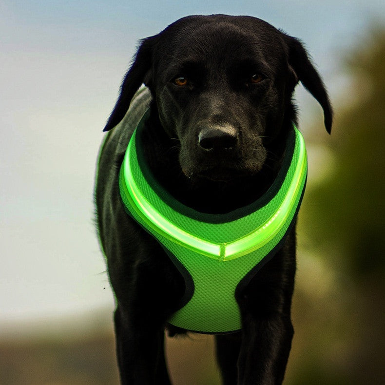 LED Dog Harness Led USB Charging