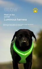 LED Dog Harness Led USB Charging