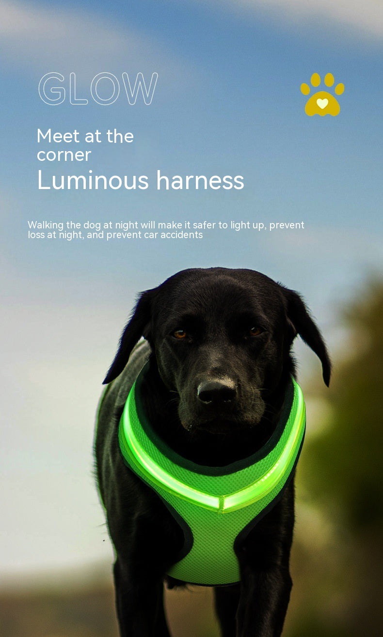 LED Dog Harness Led USB Charging