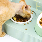 Cat Bowl Ceramic Food