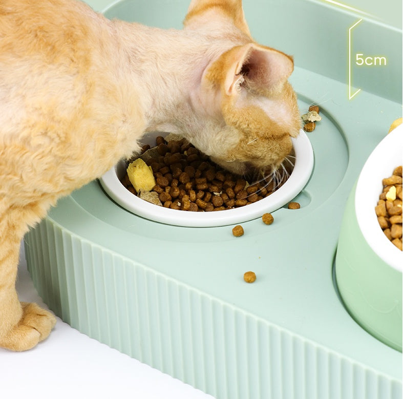 Cat Bowl Ceramic Food