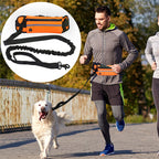 Pet Leash