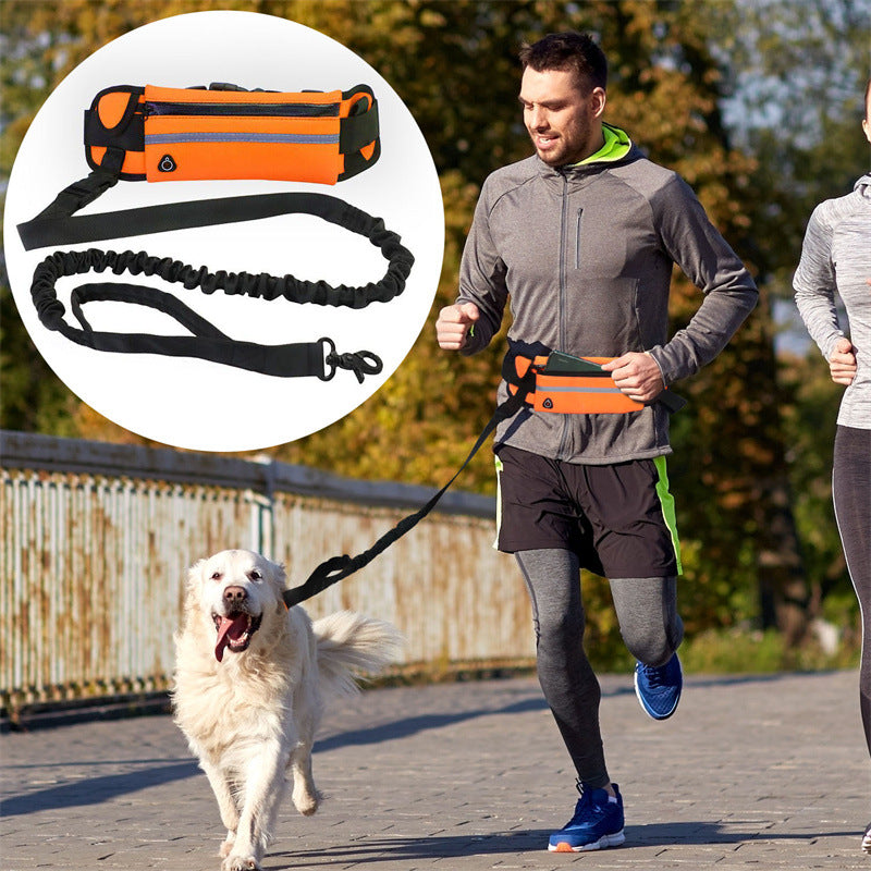 Pet Leash