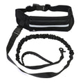 Pet Leash