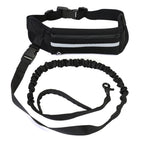 Pet Leash