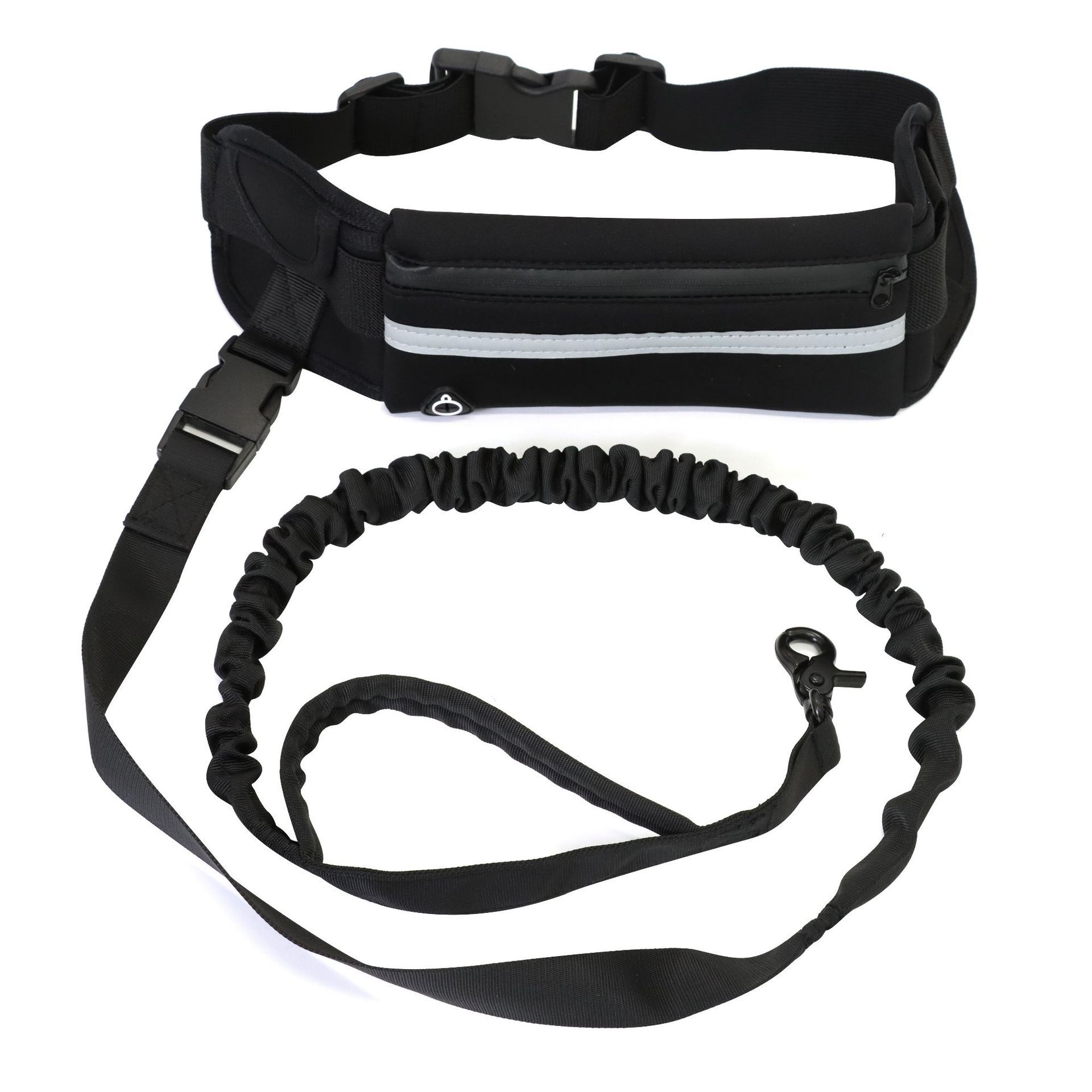 Pet Leash