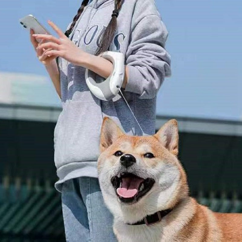 Dog Traction Rope LED