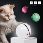 LED Laser Electronic for Cat
