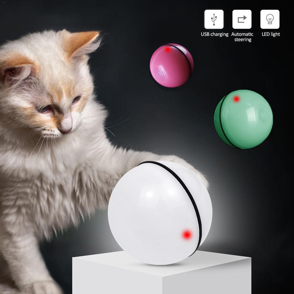 LED Laser Electronic for Cat