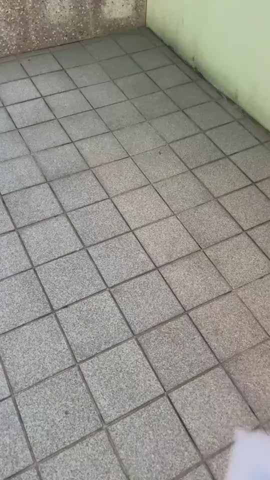 Self Cleaning Pets Hair Remover