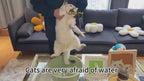 Self Cleaning Pets Hair Remover